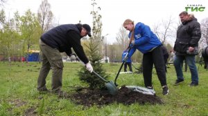 В самарском парке Победы высадили 30 елей и 60 каштанов