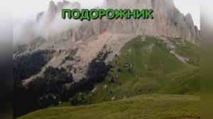 Синяя птица «Подорожник» Сергей Дроздов и ВИА «Синяя птица», 1982г.