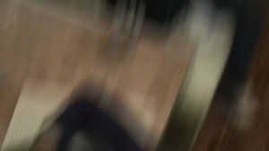 295)ЛИЗА И ВИОЛЕТТА У НАС ДОМА