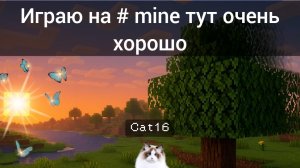 Я улучшаю сервер #Mine
