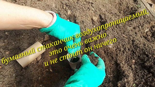 28-04-2026пикирую капусту