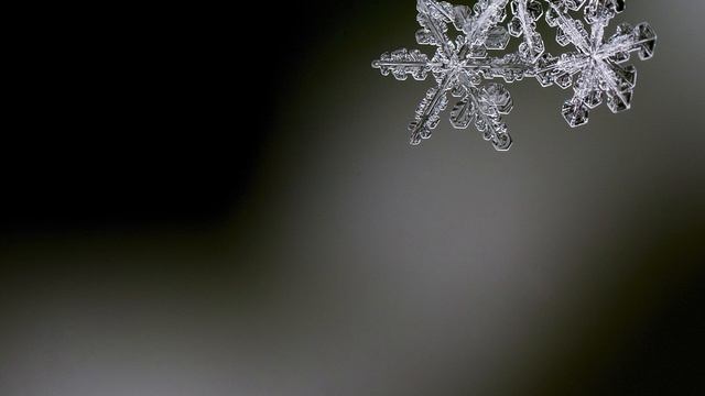 'Игорь Фёдоров' 'Свет от Света'