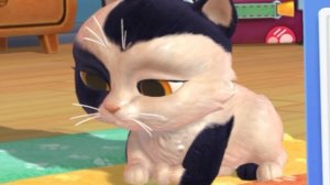 Котик 😻 Котёнок 🐱 Видео для детей