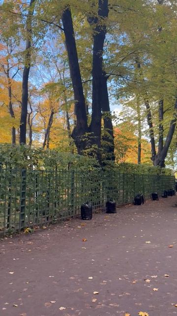 Летний сад в Санкт-Петербурге