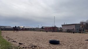 #жизнь_Аликорна 22.04.26 Работа на манеже 2