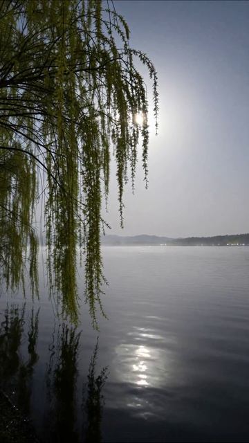 Ночная идиллия у воды #природа #ночь #река #живопись