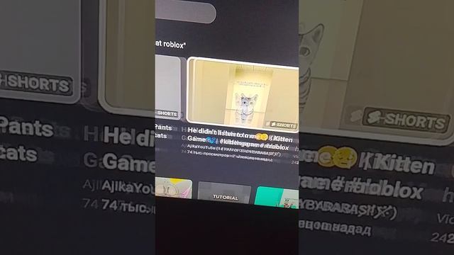 Я стал котиком 🐱 мяу-мяу! 🐈