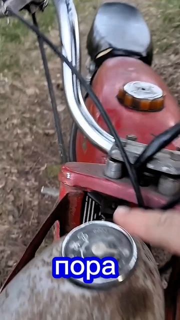 детская мечта.мопед