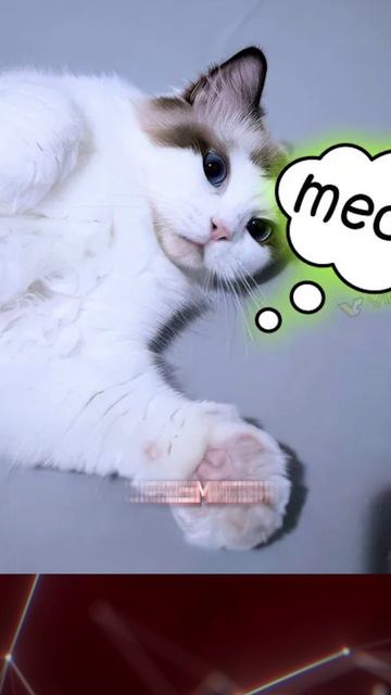 Кот спас квартиру от пожара