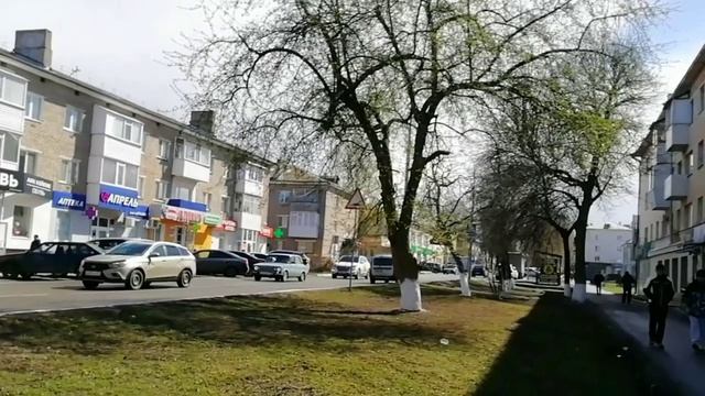 Зелёная трава и листья