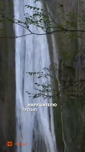 Про обязательные пропуски на курортах «Красная Поляна», «Роза Хутор» и «Газпром» #горнолыжныйкурорт
