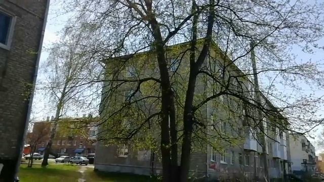 Зелень хороша собой