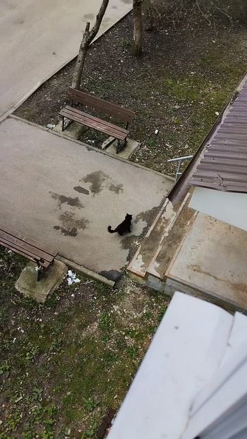 PXL_20260428_144641732