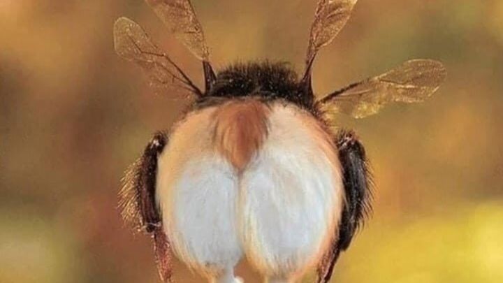 Деревенский икар нашего времени 😂!😆