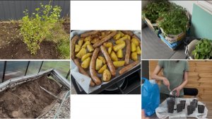 Купила крыжовник/ разбираю грядки/ привезла рассаду/ посадила огурцы🔥