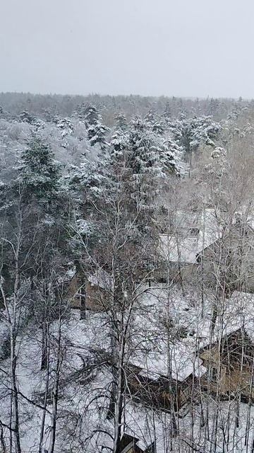 г. Королёв. Московская область. 28 апреля 2026 года.