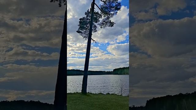 Как я попала в сказку