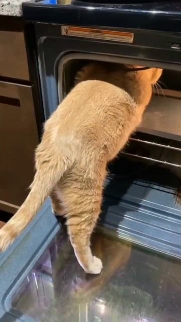 Рецепт хлеба