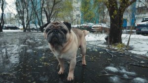 Подходит к концу 4 курс химиотерапии. Погода принесла сюрпризы