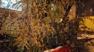 Дневник. 27.04.2026год.Сюрприз от погоды. А в остальном всё  как всегда.