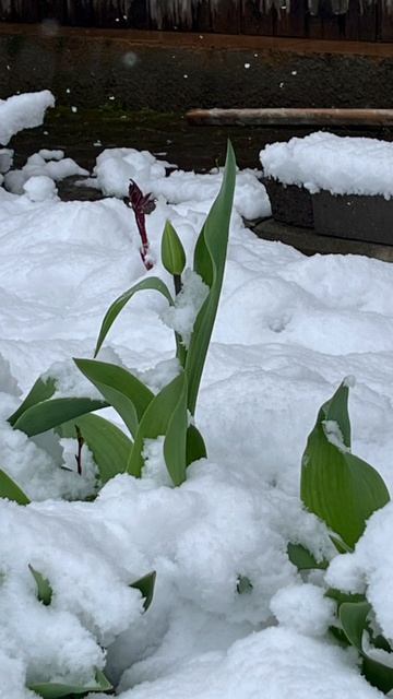 Вот такой конец апреля
