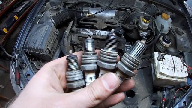 Заз Шанс (Сенс) 1,3 не заводится #диагностиказаз