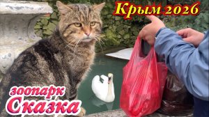 Крым 2026.Как мы в Ялтинский зоопарк сходили ‼️ Ч/П звери сбежали .Львы Симба и Легенда ( ч 1)