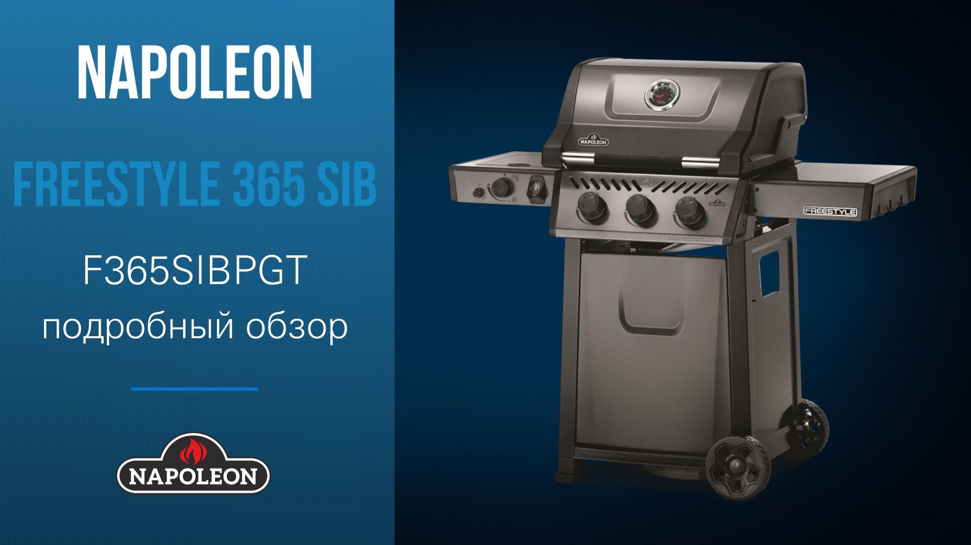 Freestyle 365 SIB (Максин)