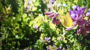 Рыма Чек - обалденная окрошка