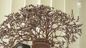 Акцент на События (28.04.2026) Станции «Скорой помощи» в Черкесске — 100 лет!