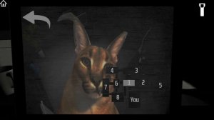 играю пять ночей со шлёпой