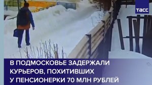 В Подмосковье задержали курьеров, похитивших у пенсионерки 70 млн рублей