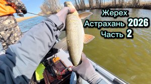 Ловля жереха на кренки в Астрахани. Долгожданная рыбалка 2026! Часть 2.
