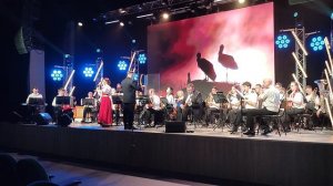 «На крыле я спала» лирическая песня #оркестр МГУ имени Невельского