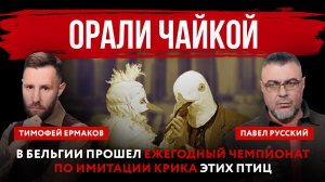 Орали чайкой. В Бельгии прошел ежегодный чемпионат по имитации крика этих птиц