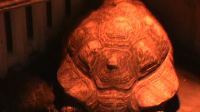 102)я ЗООЭКЗОТАРИУМ