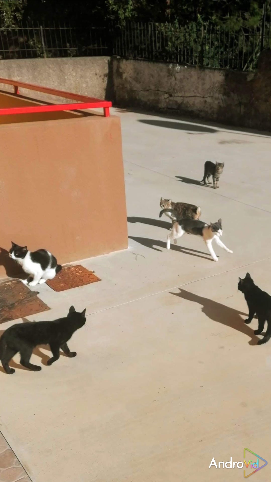 Жизнь семейная! 🤣😻 Смешные животные! 28-04-2026