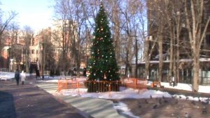 98)я ОКОЛО ШКОЛЫ