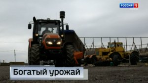 Богатый урожай