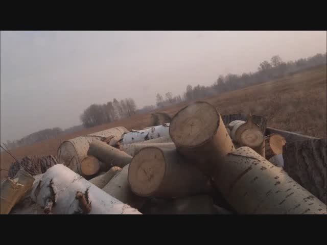 Заготовка дров в Сибири