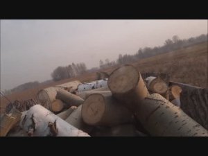 Заготовка дров в Сибири