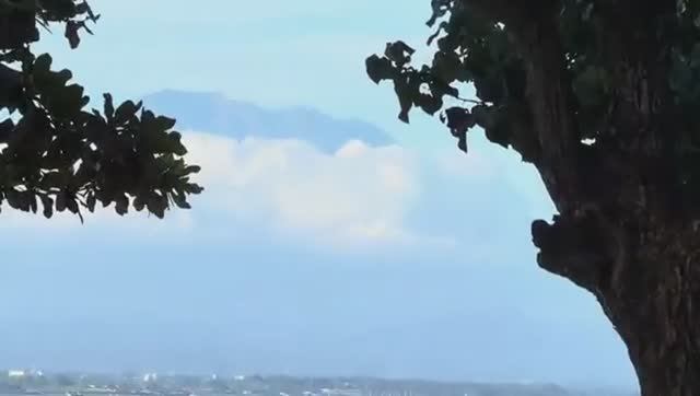 Беженец🇮🇩Бали. ПЕРЕВОЗИМ ЧЕМОДАН НА МОПЕДЕ С ВЫДУМКОЙ. БАЛИЙСКИЕ ВАРЕНИКИ С КАРТОШКОЙ И МОРОЖЕНОЕ