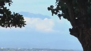 Беженец🇮🇩Бали. ПЕРЕВОЗИМ ЧЕМОДАН НА МОПЕДЕ С ВЫДУМКОЙ. БАЛИЙСКИЕ ВАРЕНИКИ С КАРТОШКОЙ И МОРОЖЕНОЕ