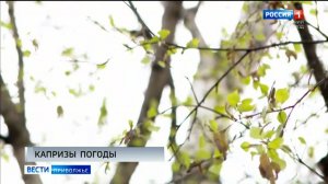 Последний апрельский аккорд не оставляет нам ни единого шанса на солнце и тепло