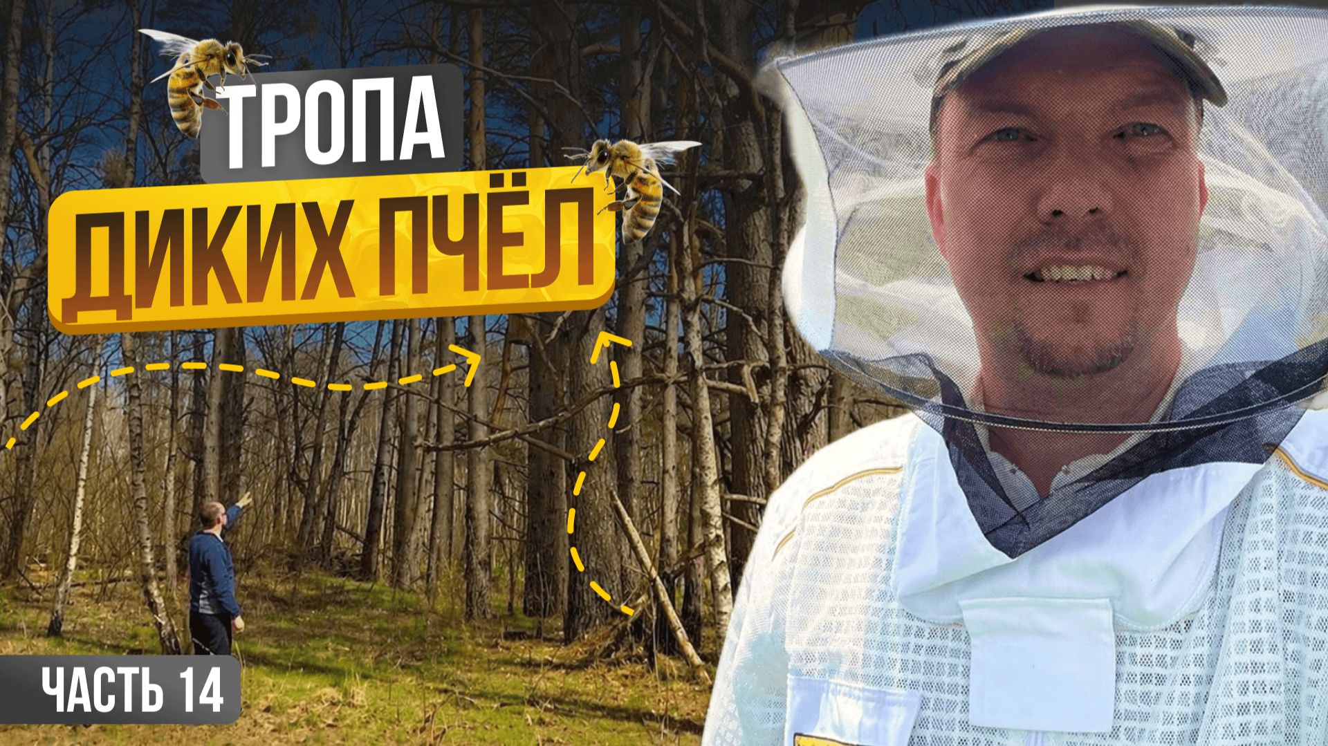 Сбежал с офиса на пасеку! Что из этого вышло? Строю пасеку с нуля | Серия 14