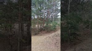 Иҫеңдәме, иркәм?