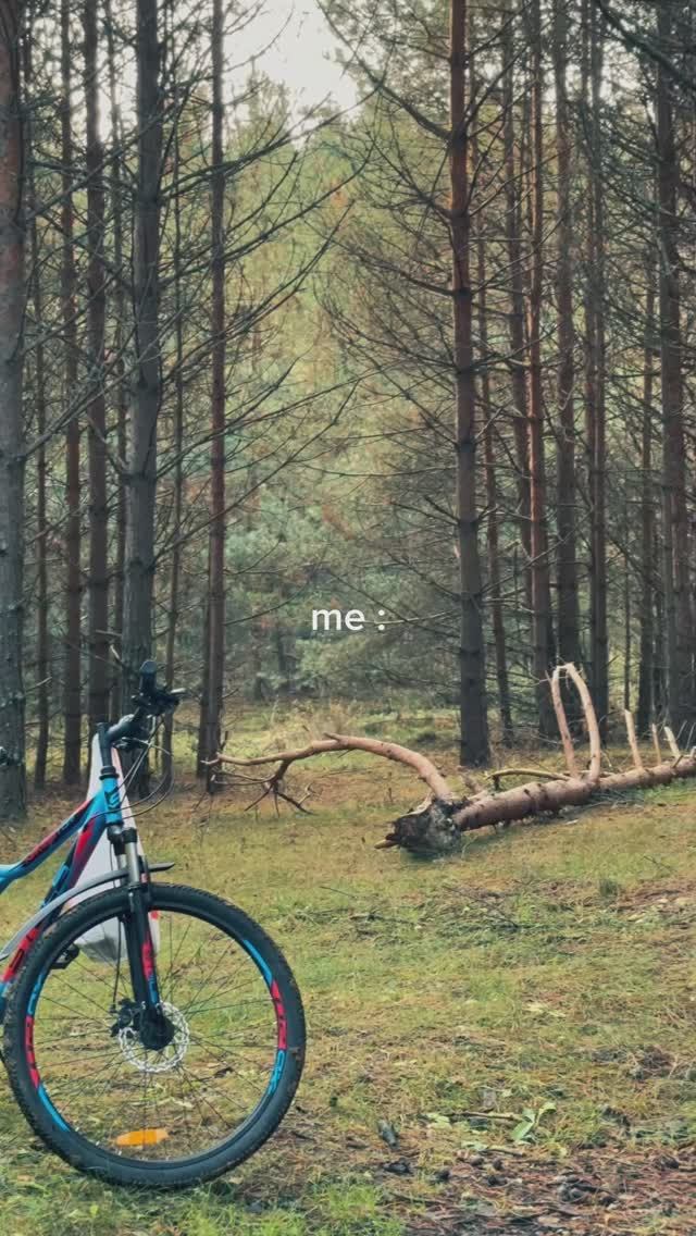 Моя лучшая терапия