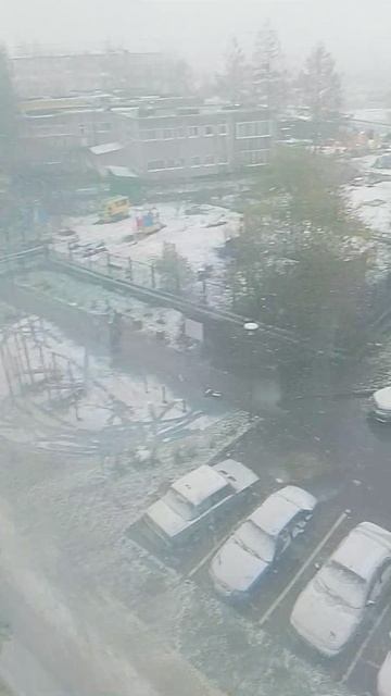 Выпал снег (26.04.2026 г.)