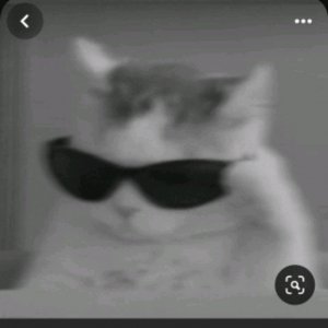 „самый крутой ролик“