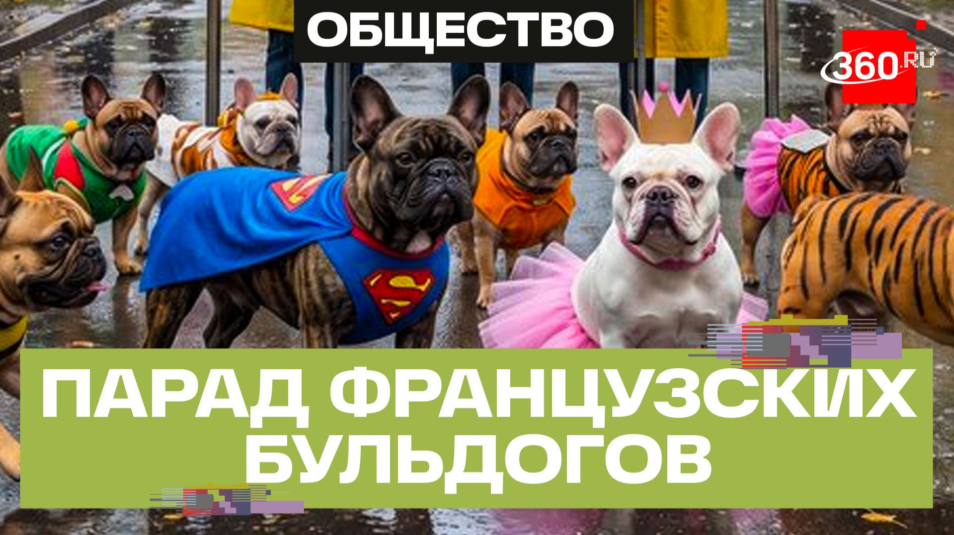 В Москве прошел парад французских бульдогов. Мохаммад